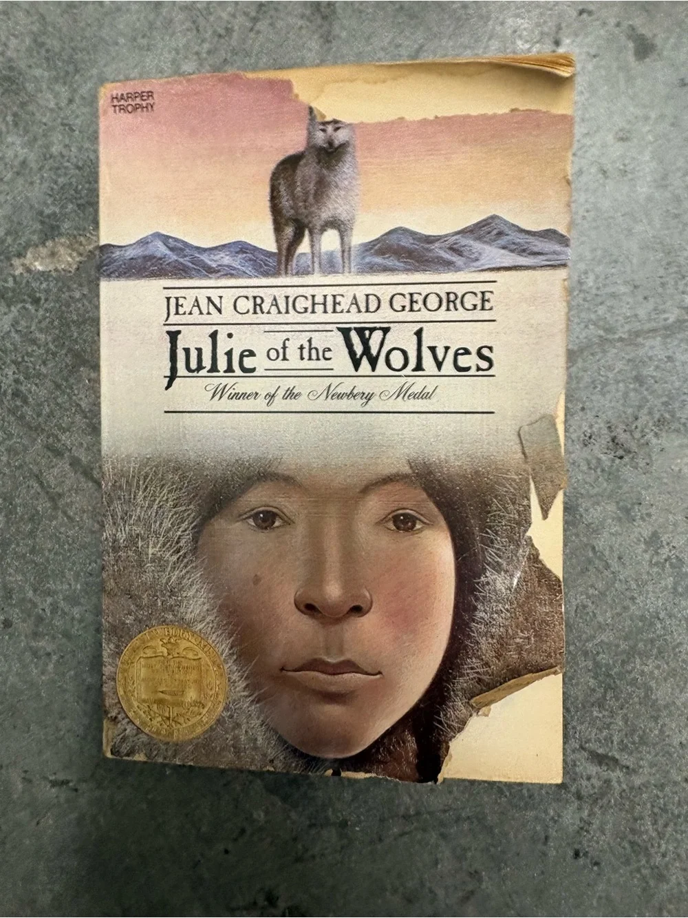 Vintage Paperback Julie of the Wolves